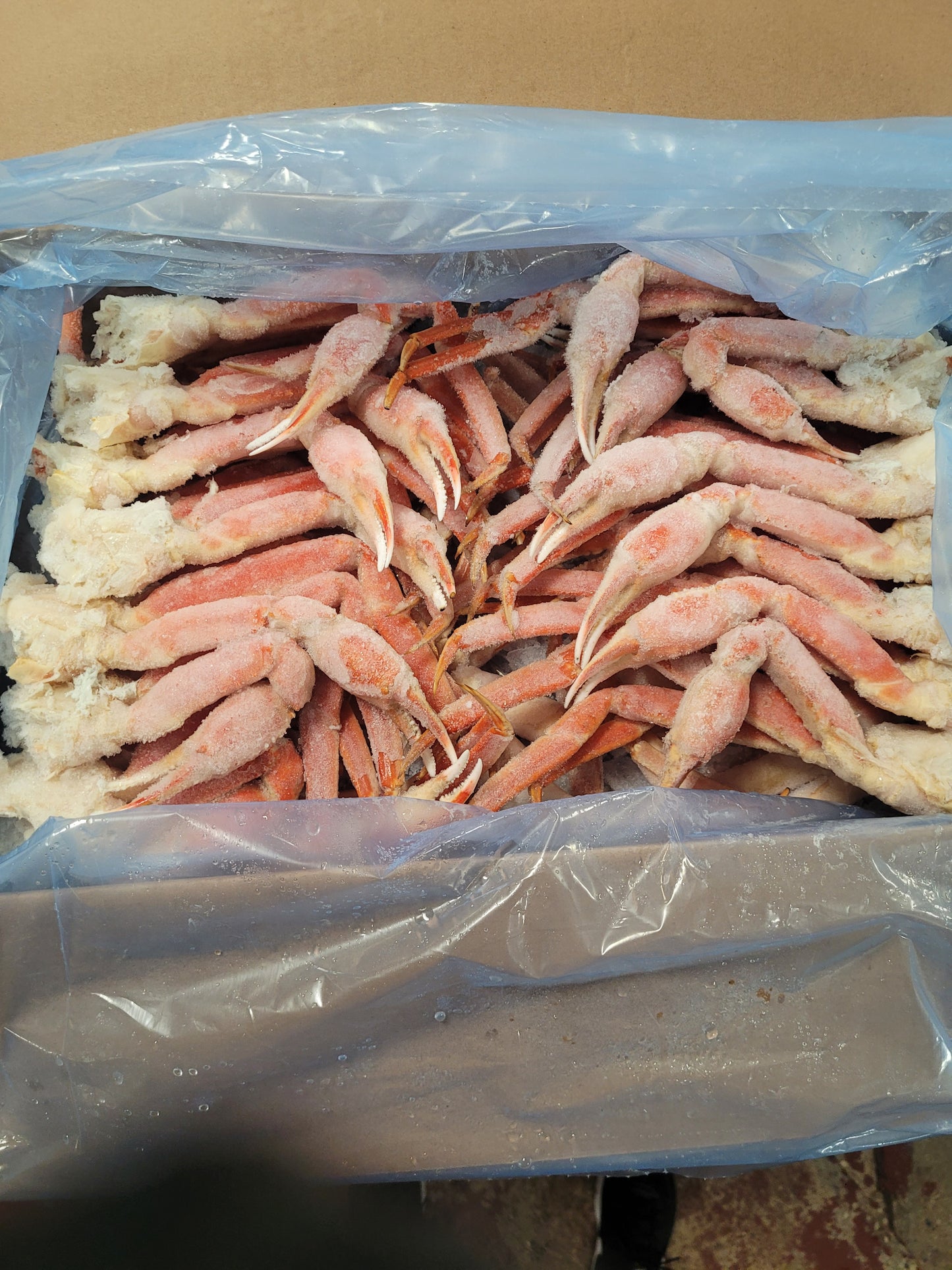 Snow Crab Legs - 5/8