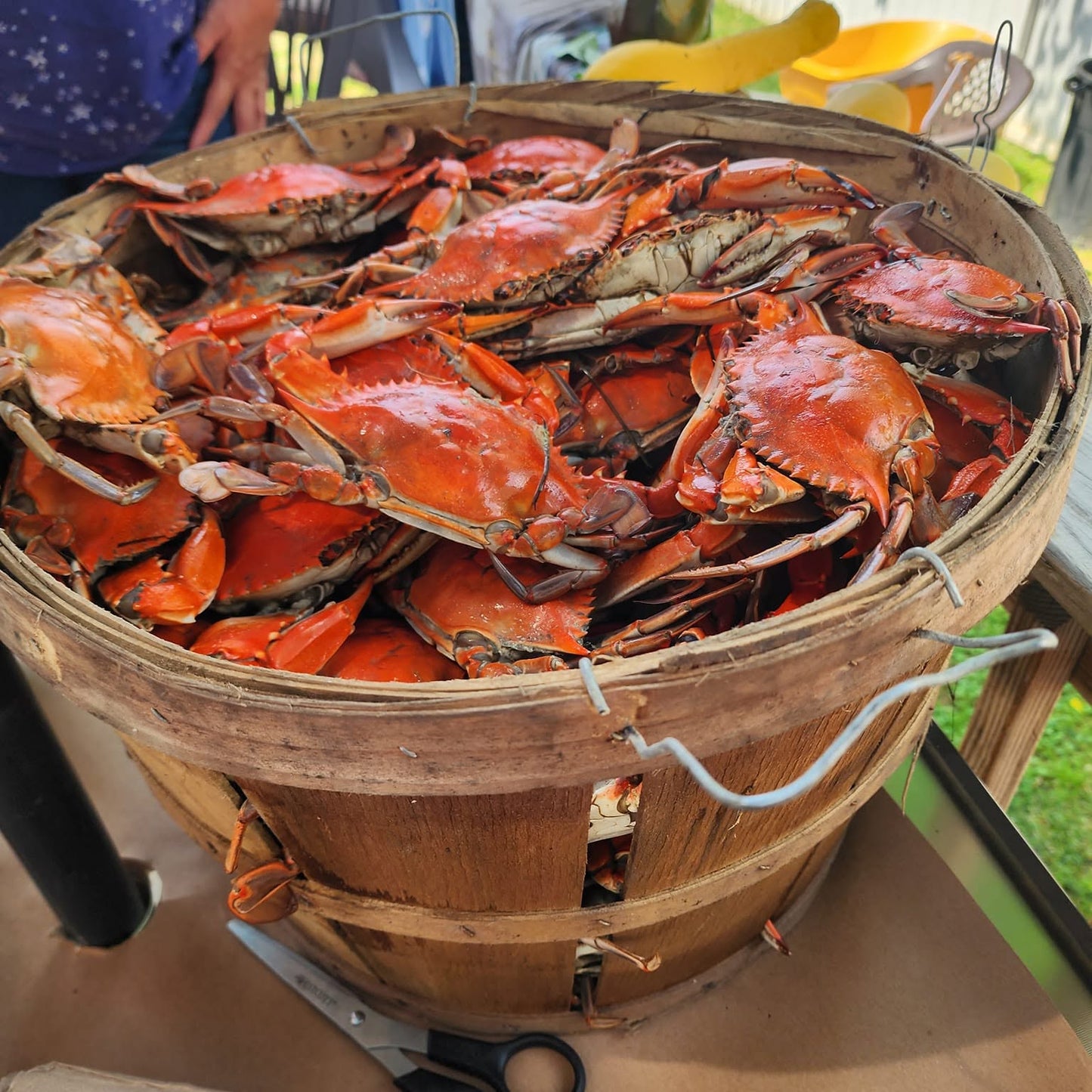 Maryland Blue Crab Preorders